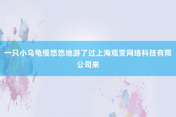 一只小乌龟慢悠悠地游了过上海观雯网络科技有限公司来